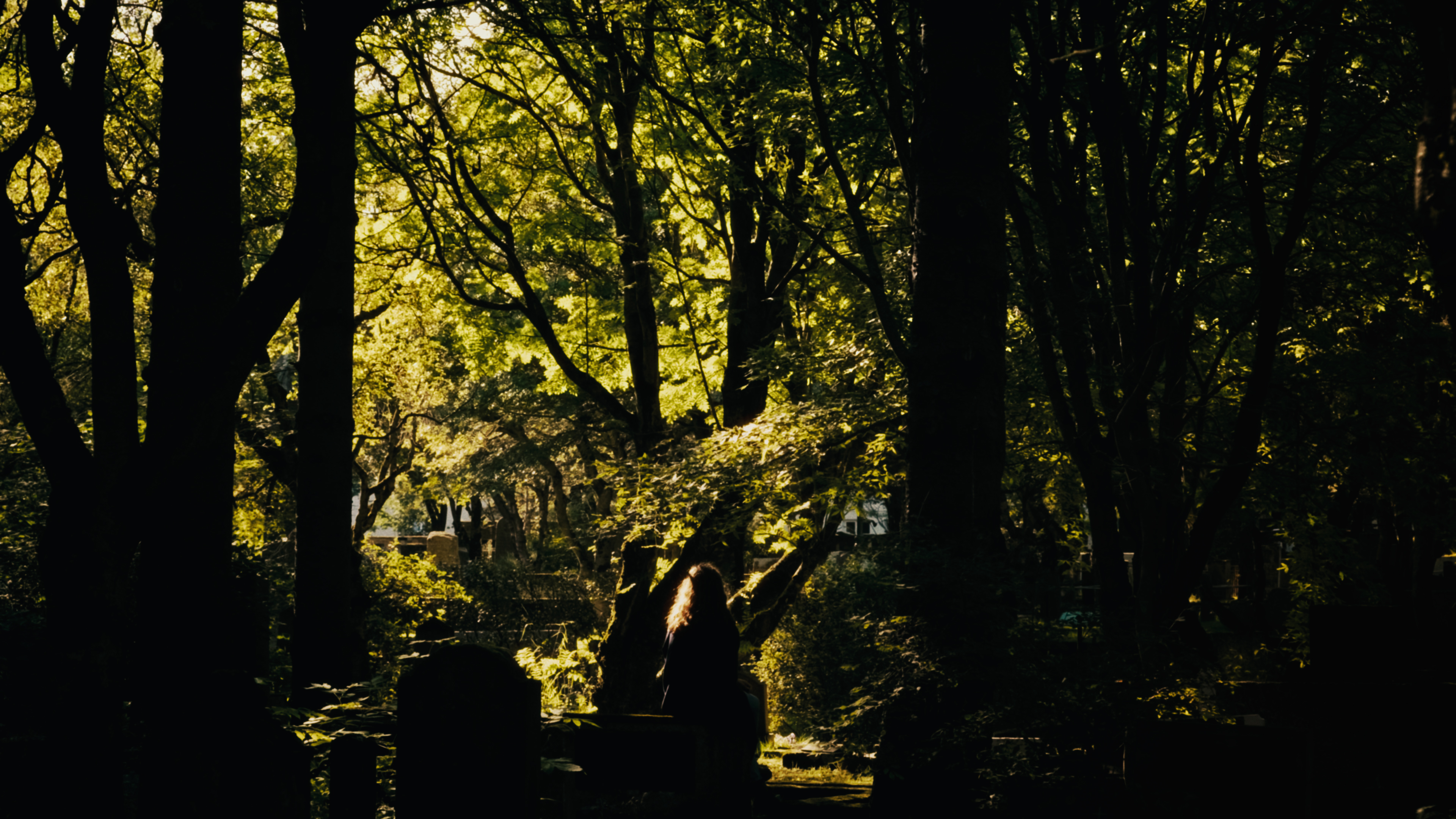 Bookswapping still 2