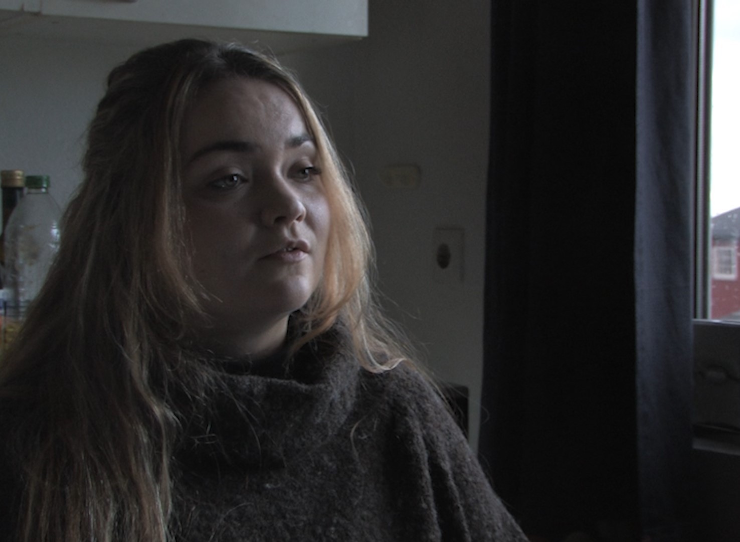 A Gray Cat — portrait